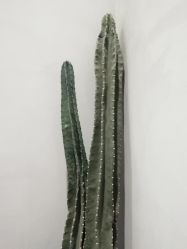 -THE LOG SALON 记录