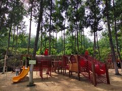 -合肥滨湖国家森林公园