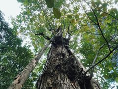 -成都杜甫草堂博物馆