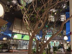 -桂满陇·海市蜃楼·黑金(国金店)