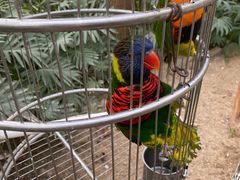 -南宫五洲植物乐园