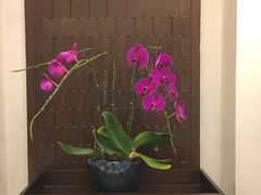 -阿诺泰·泰国餐厅(紫荆店)