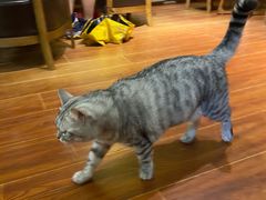 -H立方实景剧情密室(天河旗舰店)