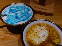 -古树酸奶(八廓南街店)