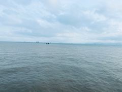 -演武大桥观景平台