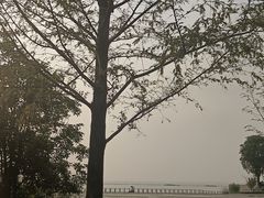 -滆湖低碳生态公园