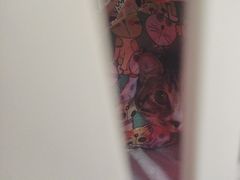 -萌兽医馆·宠物医院·猫骨科(创景店)