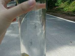 -火炉山森林公园