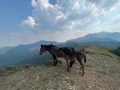 -灵山