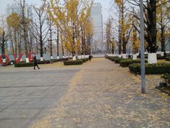 -两江幸福广场
