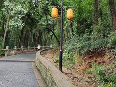 -灵岩山风景区