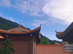 -深圳仙湖植物园