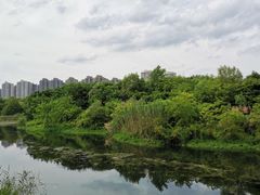 -洋湖国家湿地公园