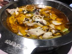 水煮草鱼-新沸腾鱼乡(世贸天阶店)