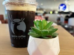 -瑞幸咖啡(回龙观上品折扣店)