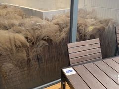 -塔顶·Cafe·日啡夜酒(北京路店)