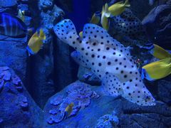 -成都浩海立方海洋公园