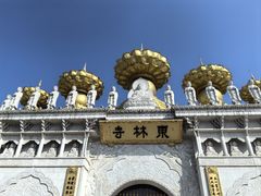 -上海东林寺(金山区)