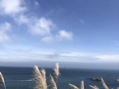 -东极岛景区
