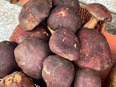 -草墩罗非鱼庄•野生菌•腊排骨(七星街上段店)