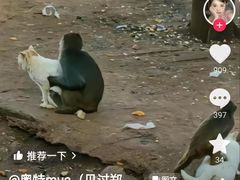 -昆明动物园