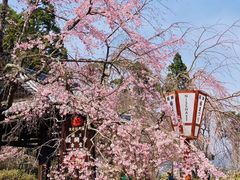 -醍醐寺