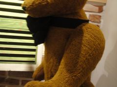 -济州岛泰迪熊博物馆