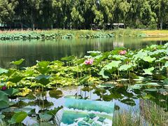 -吉林大学(前卫南区)