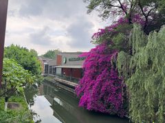 -星巴克(成都天府水街店)