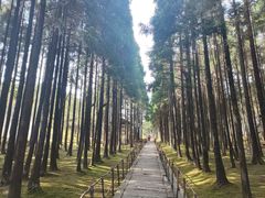 -玉苍山国家森林公园