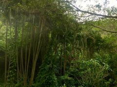 -海南文笔峰盘古文化旅游区