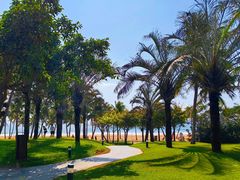 -海南清水湾莱佛士酒店