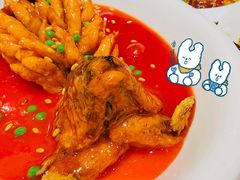 -红杏酒家(凤凰店)