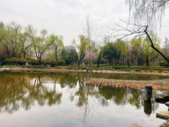 -木塔寺遗址生态公园