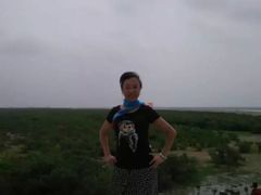 -北海金海湾红树林生态旅游区