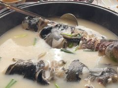 野生千岛湖鱼头-丰乐餐厅·始于1999·本地老字号