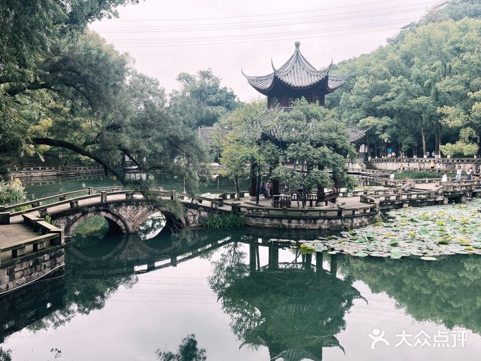 忠山公园图片