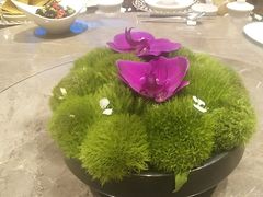 -彩丰楼·中餐厅(国家会展中心上海洲际店)