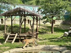-西安秦岭野生动物园