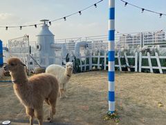 -Blue Concept Cafe&Farm·關於藍
