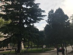 -中国人民解放军空军特色医学中心(空军总医院)