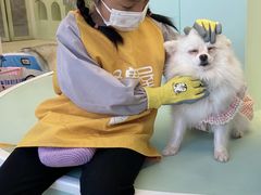 -怪兽屋·羊驼·猫咖·狗咖(俊华广场店)