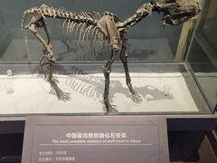 -大庆市博物馆