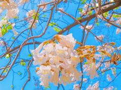 -红星桥(地铁站)