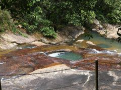 -广州白江湖森林公园