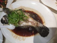 清蒸石斑鱼-海儀美食楼(湾仔海鲜街店)