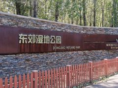 -东郊湿地公园