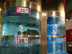 -蜀滋香鲜鱼美蛙火锅(339店)