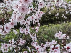 -杭州师范大学(下沙校区)