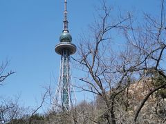 -青岛电视塔